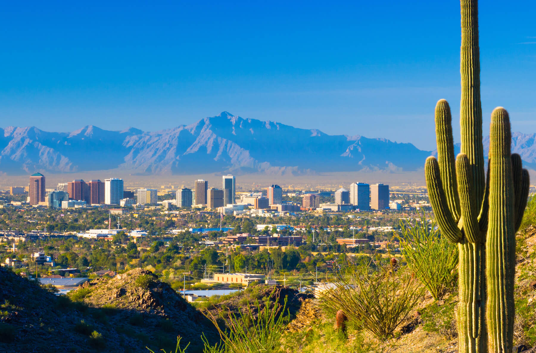 Flagship to Serve Phoenix Airport