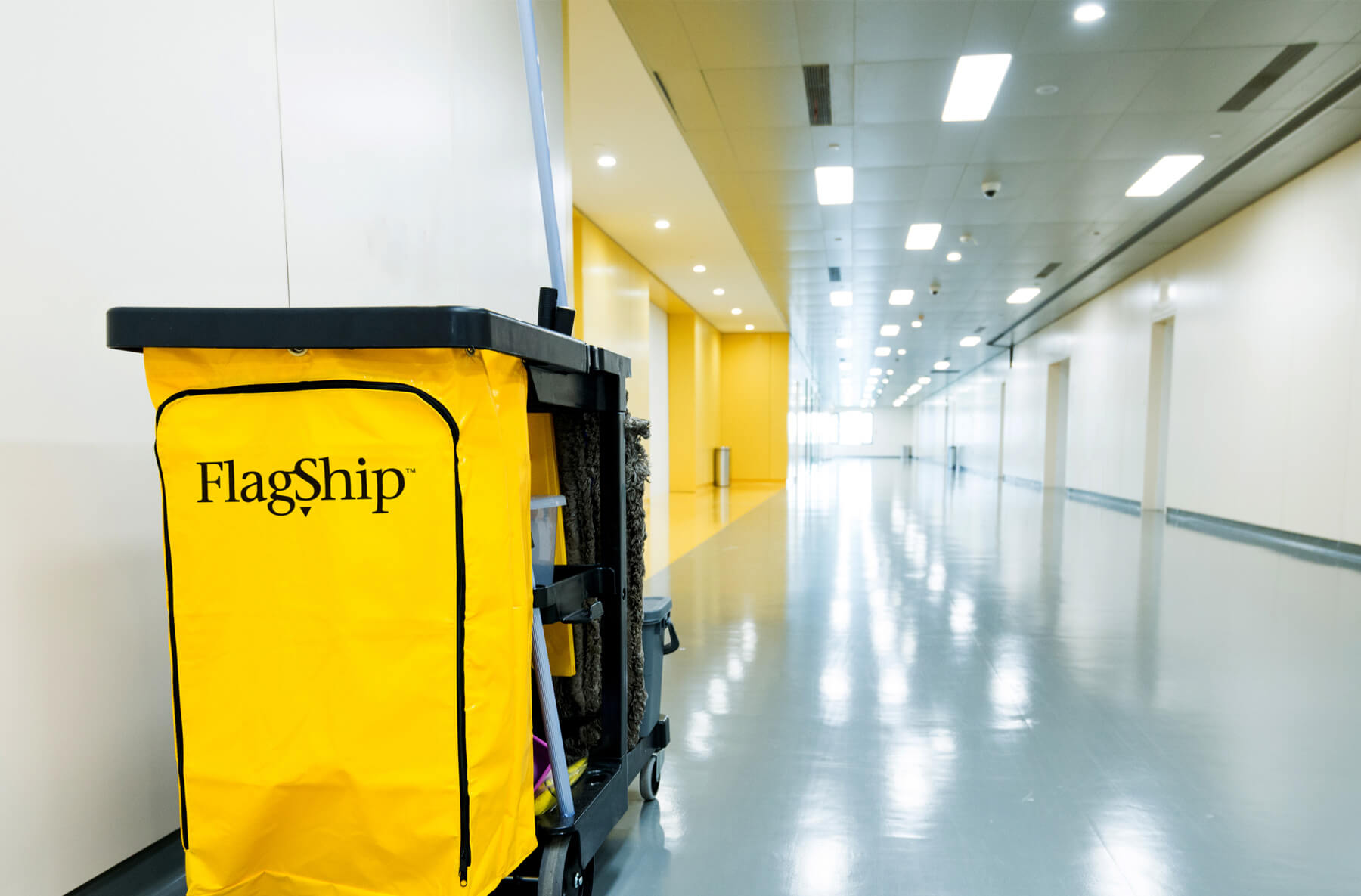 Flagships Service Now Facility Services